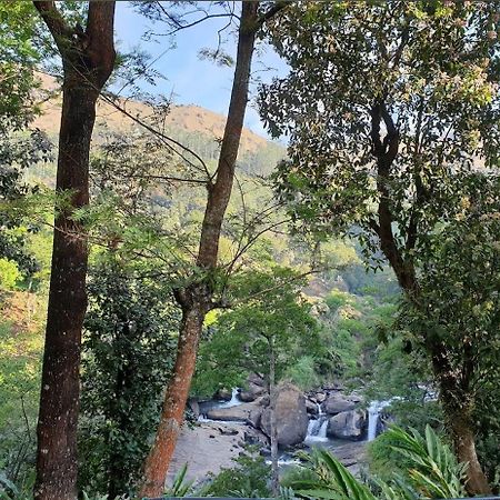 4 Rooms Private Cottage At Attukad Tea Estate Devikolam Ngoại thất bức ảnh