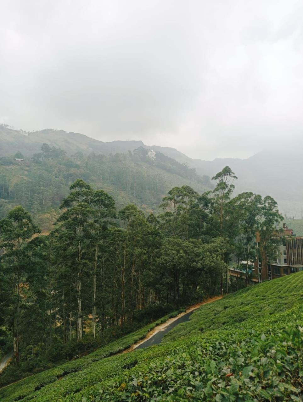 4 Rooms Private Cottage At Attukad Tea Estate Devikolam Ngoại thất bức ảnh